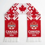 2026美加墨世界杯 加拿大 阿方索·戴维斯 【球迷礼盒】