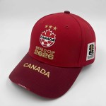 2026美加墨世界杯 加拿大 阿方索·戴维斯 【球迷礼盒】