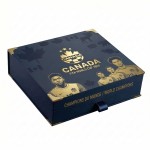 2026美加墨世界杯 加拿大 阿方索·戴维斯 【球迷礼盒】